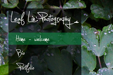Leaf Lin Photography Slide 4