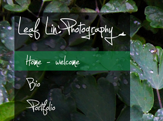 Leaf Lin Photography Featured